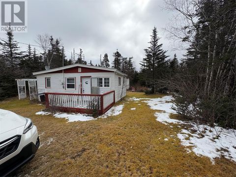 38 Horsechops Road Cape Broyle NF A0A1P0