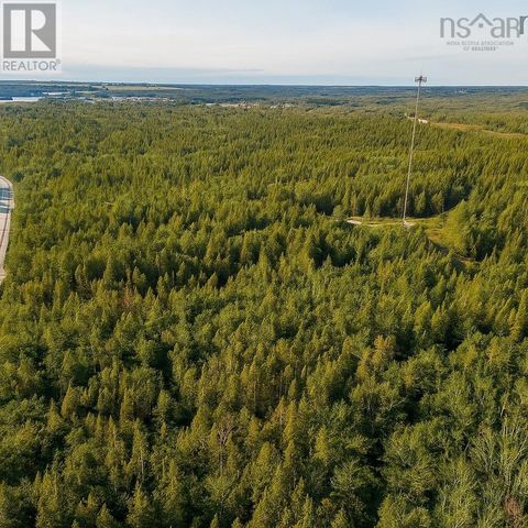 Lot Dominique Road Avenue Arcadia NS B0W1B0