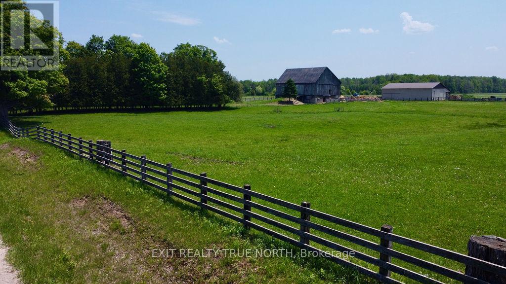 199 3 CONCESSION ROAD W - Photo 4