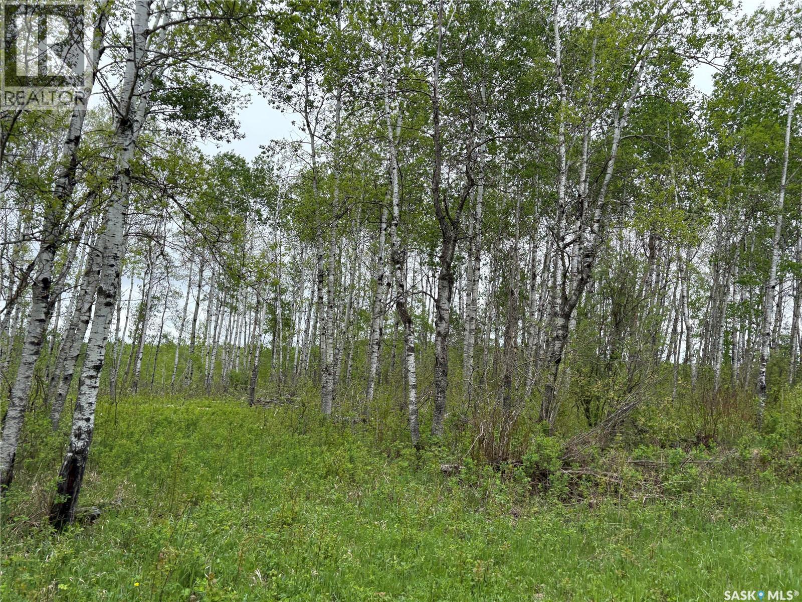 Rec Land Rockford 18.13 Acres