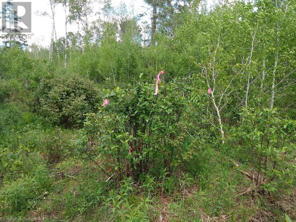 N/A NEPEWASSI LAKE Road