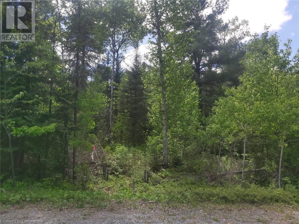 N/A NEPEWASSI LAKE Road