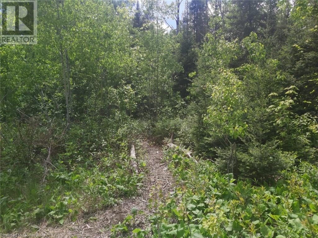 N/A NEPEWASSI LAKE Road