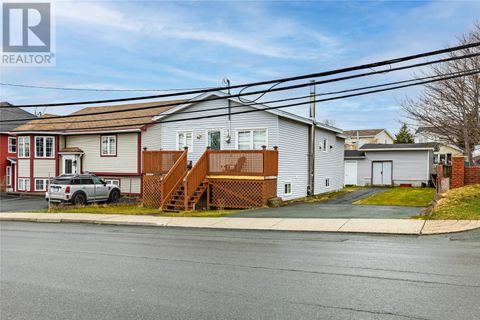 29 Murphys Lane St. John's NF A1E3E3