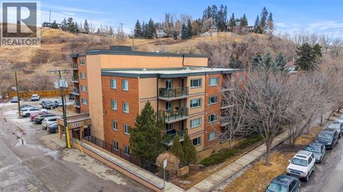 103, 728 3 Avenue NW Calgary AB T2N0J1