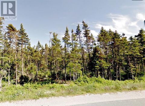 134 Bauline Line Extension Portugal Cove-St. Philip's NF A1M2V5