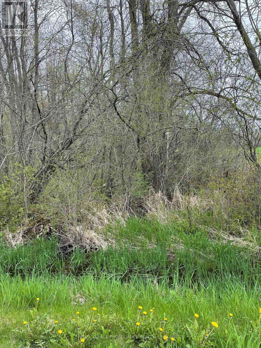 LOT 1 TOWNLINE ROAD