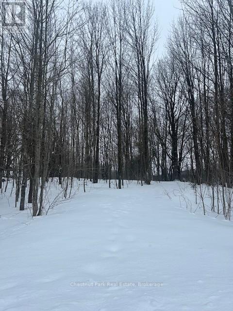 154 BOWLES BLUFF ROAD