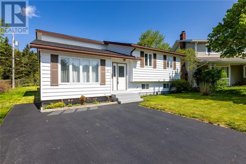 17 Lodge Place St. John's NF A1E4Y5