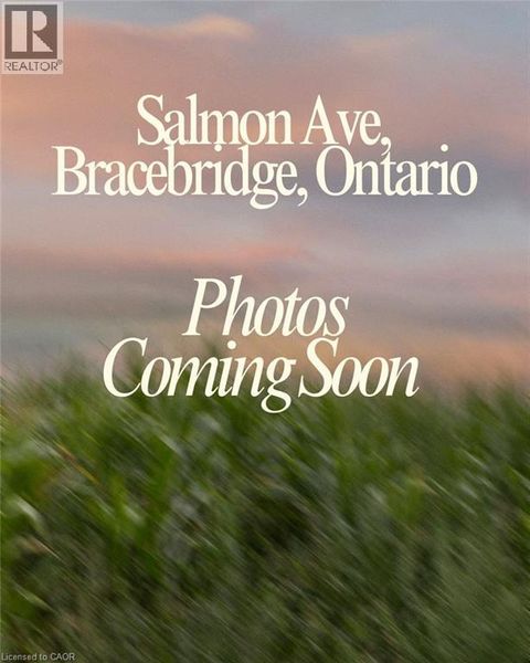 N/A SALMON Avenue Bracebridge ON Z1Z1Z1
