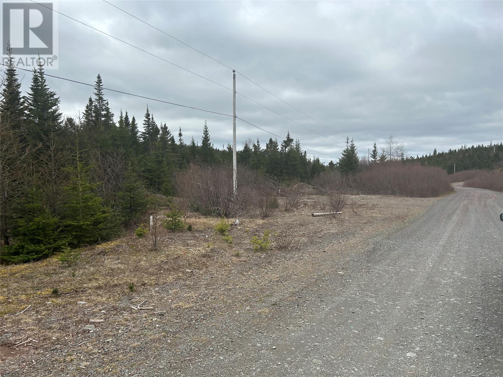 Lot #01 Slate Mine Road - Photo 2