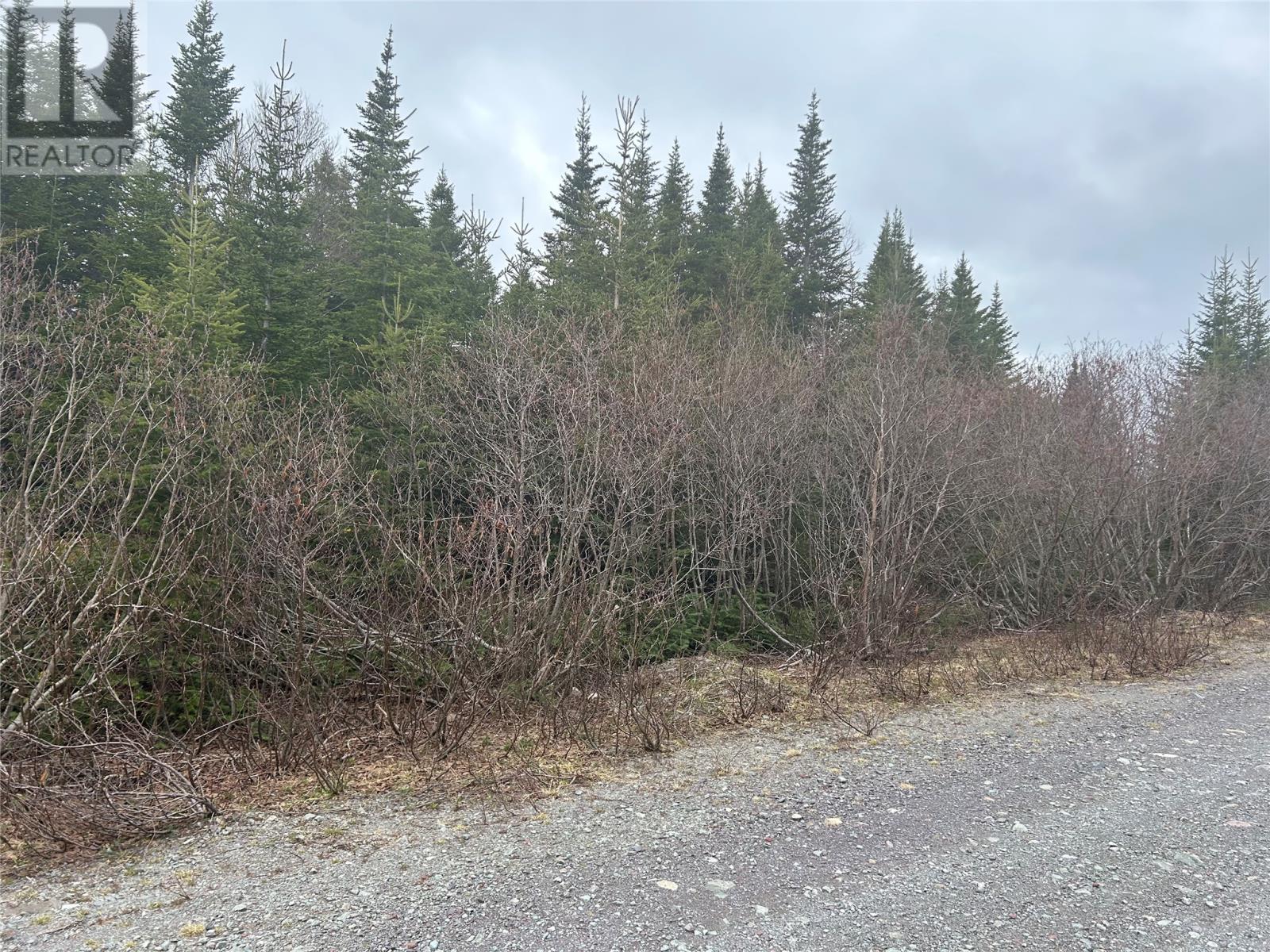 Lot #01 Slate Mine Road - Photo 3