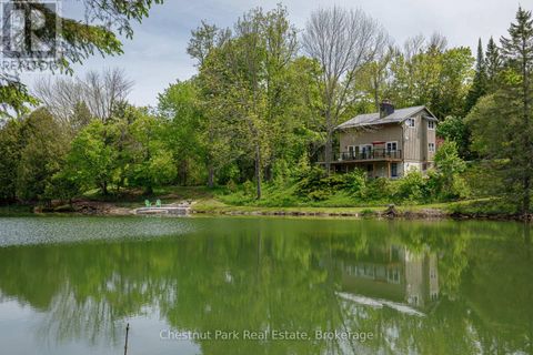 174386 LOWER VALLEY ROAD Grey Highlands ON N0C1H0