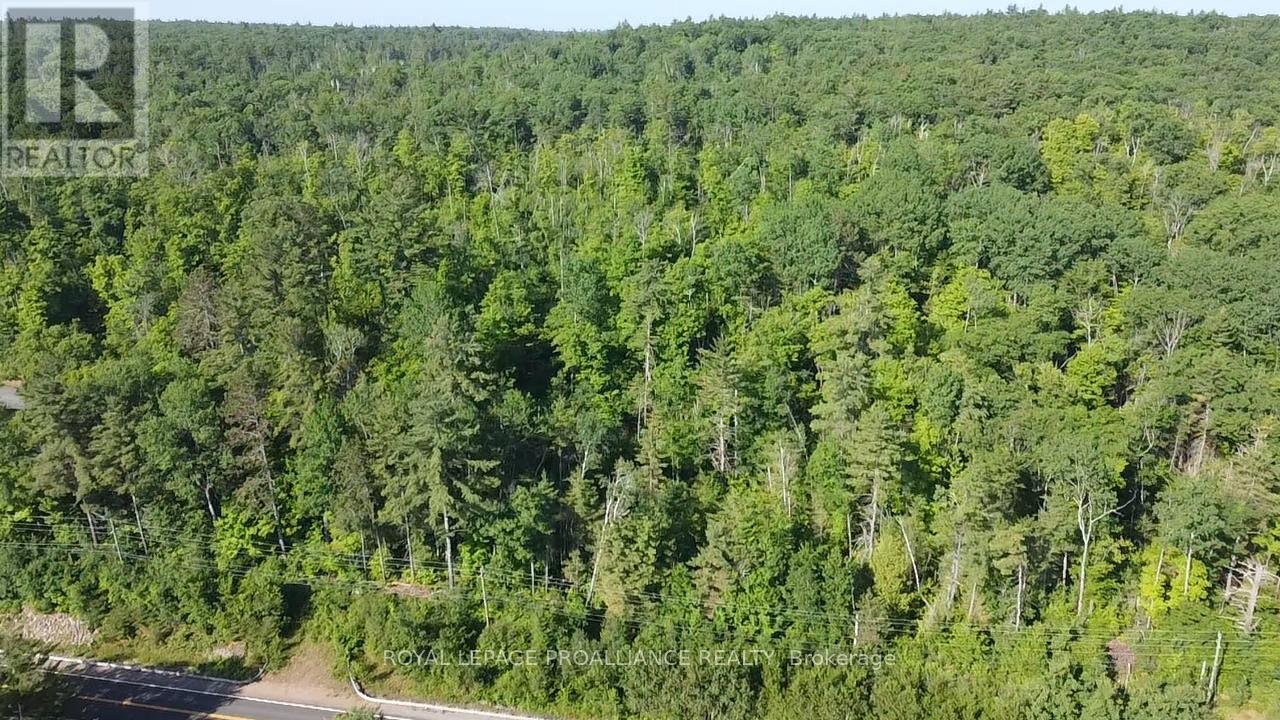 17295 HIGHWAY 41