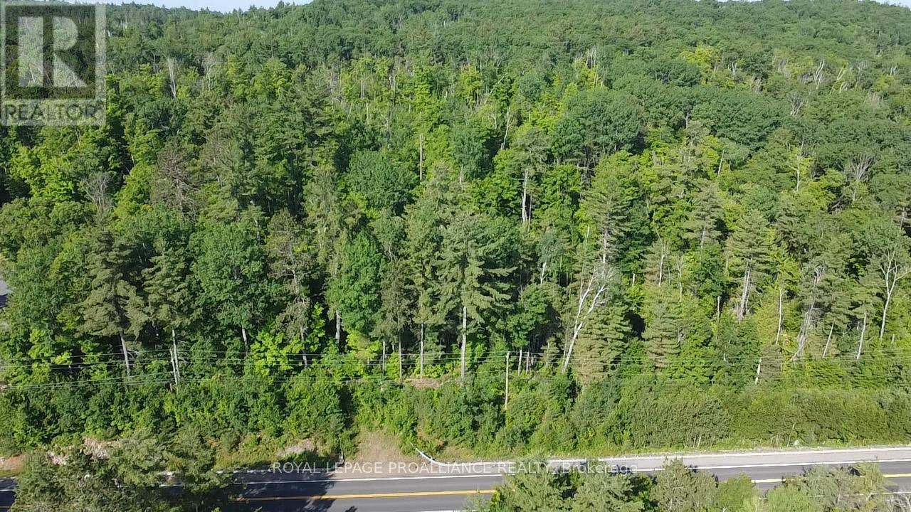 17295 HIGHWAY 41