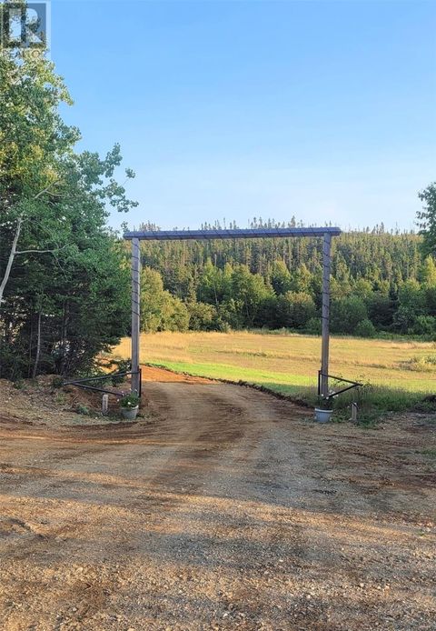 2 Main Road St Patricks NF A0J1J0