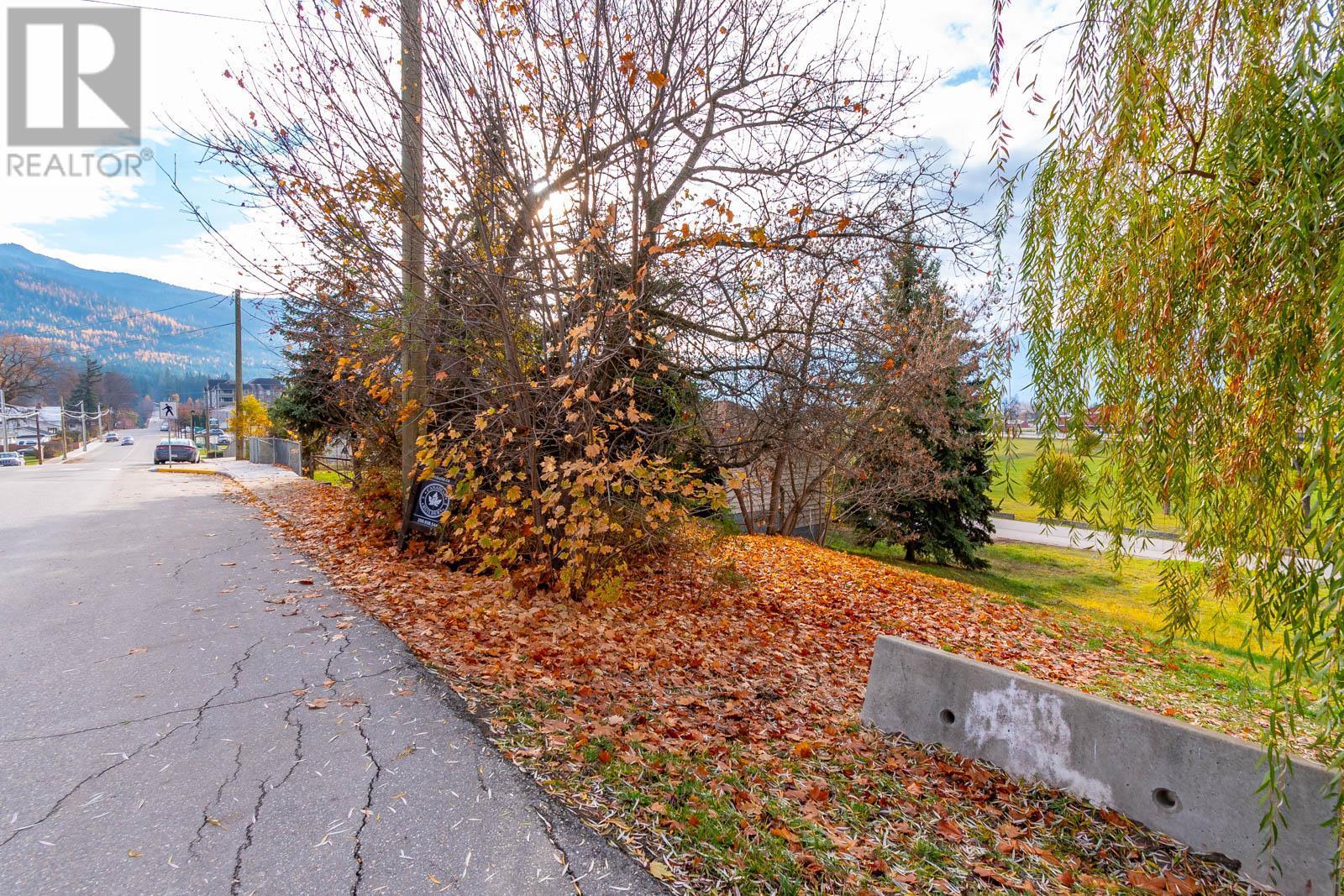161 Shuswap Street SW