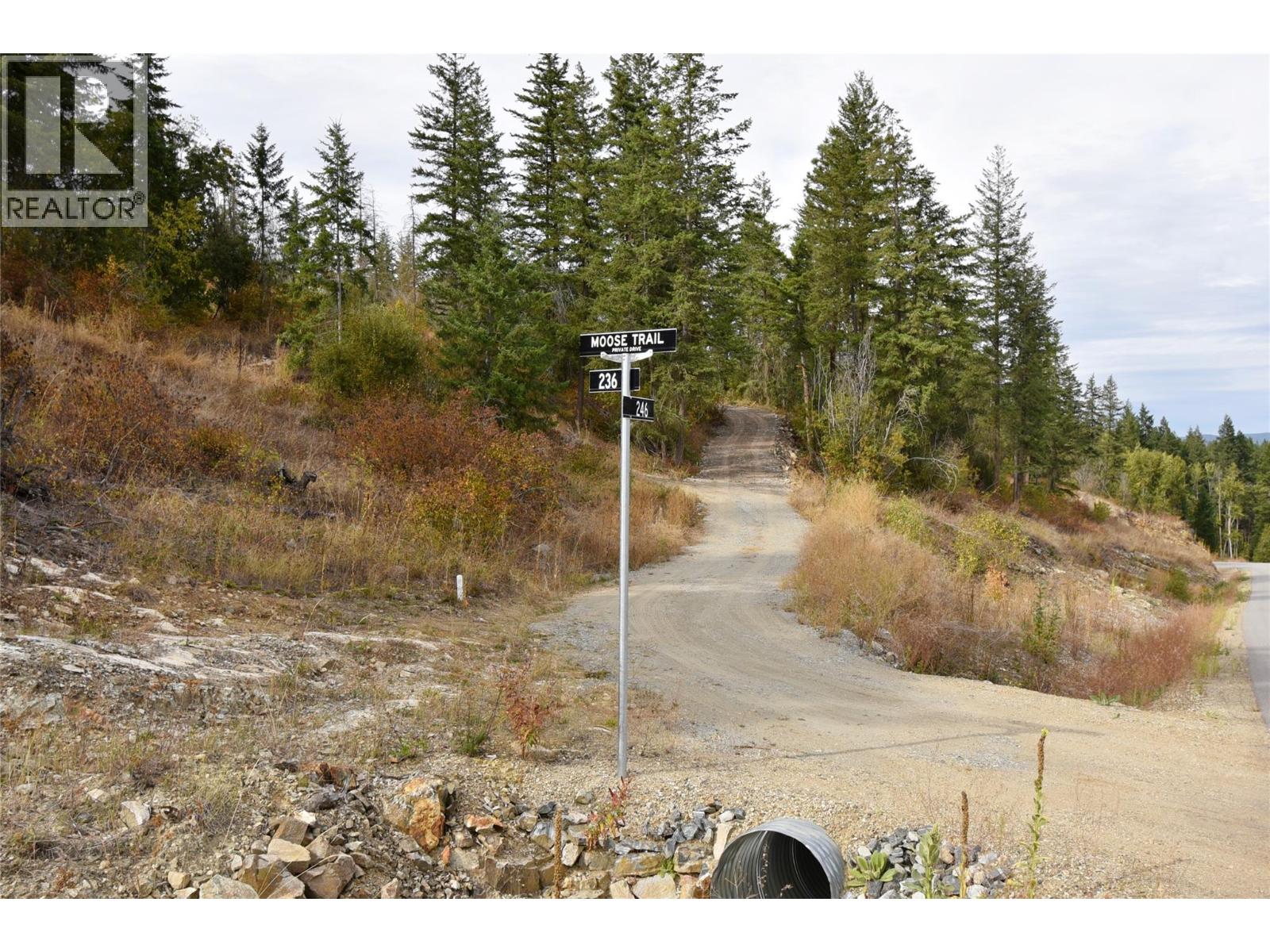 236 Crooked Pine Road