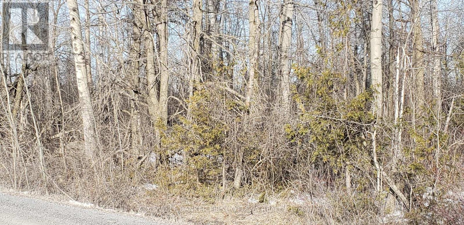 7500 SPRINGHILL ROAD