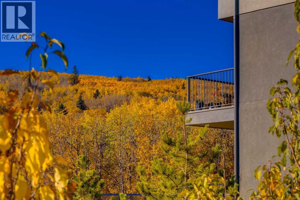 84, 1453 Na'a Drive SW