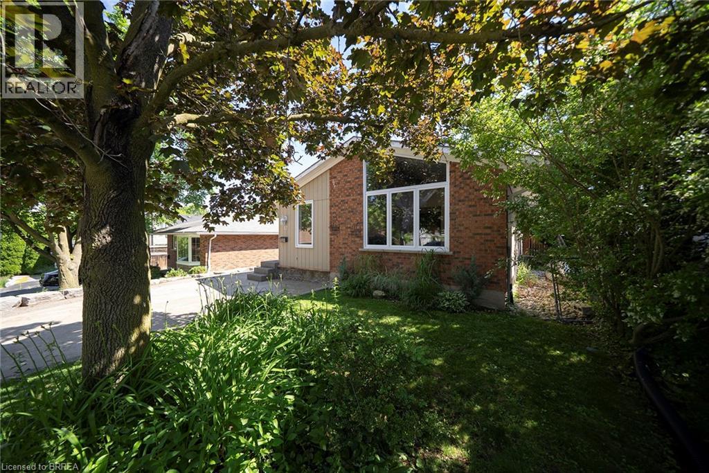 17 FLYNN Avenue