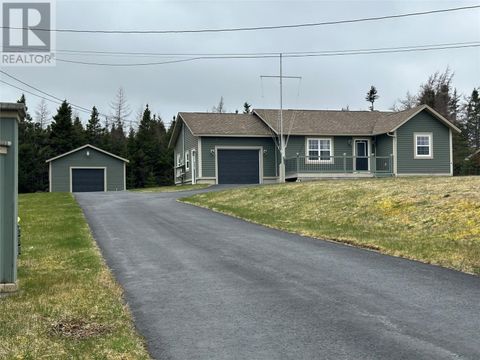 53 Old Road Conception Hr. NF A0A1Z0