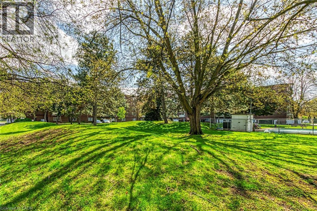 198 SCOTT Street Unit# 220