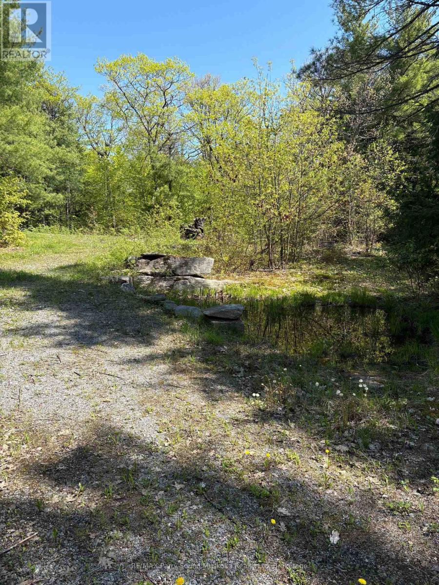 175 NORTH SANDY PLAINS ROAD
