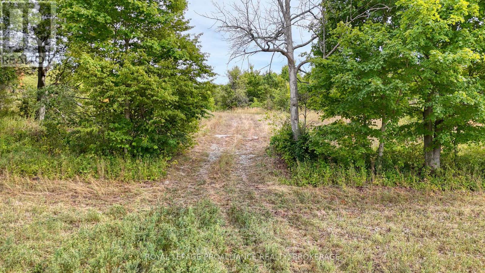 1551 COUNTY ROAD 1 EAST