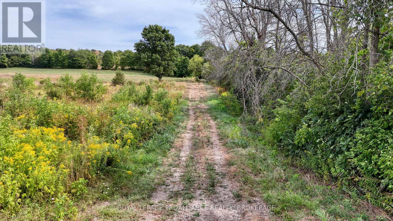 1551 COUNTY ROAD 1 EAST