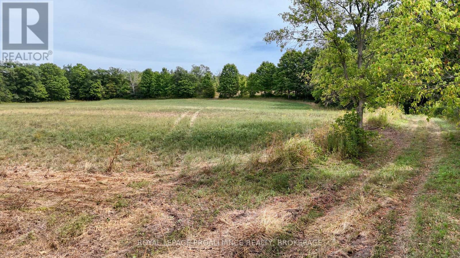 1551 COUNTY ROAD 1 EAST