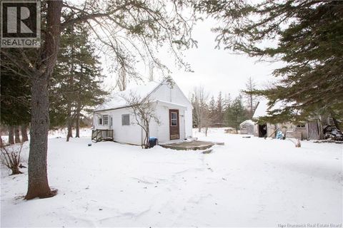 343 Route 970 Baie Verte NB E4M1Z2