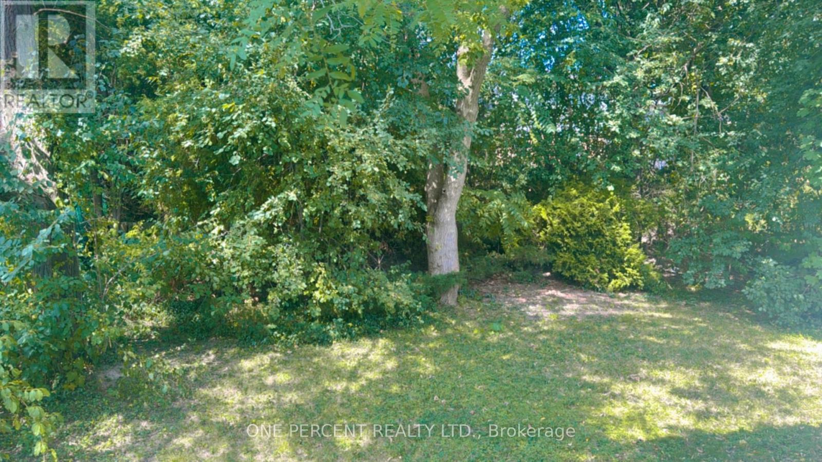 131 PAPERBIRCH CRESCENT