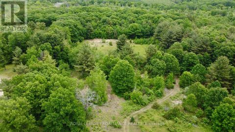 207 MIDDLE RIDGE ROAD Brighton ON K0K1H0