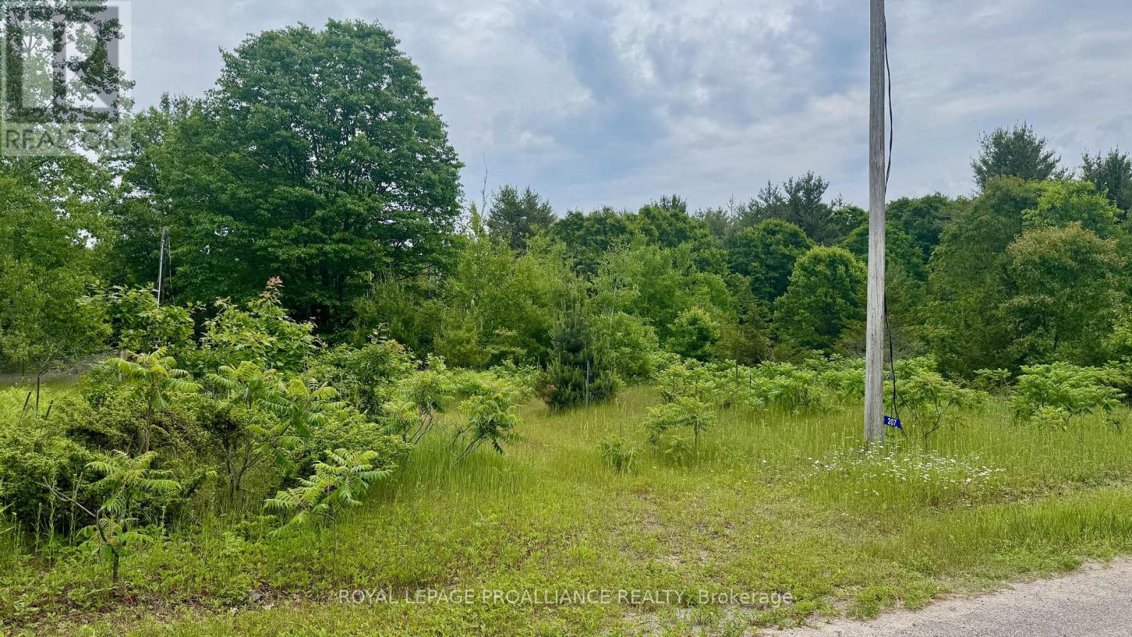 207 MIDDLE RIDGE ROAD