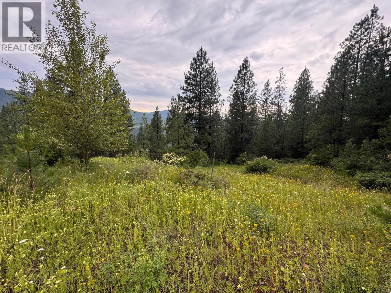 40 Acres Shuswap River Drive