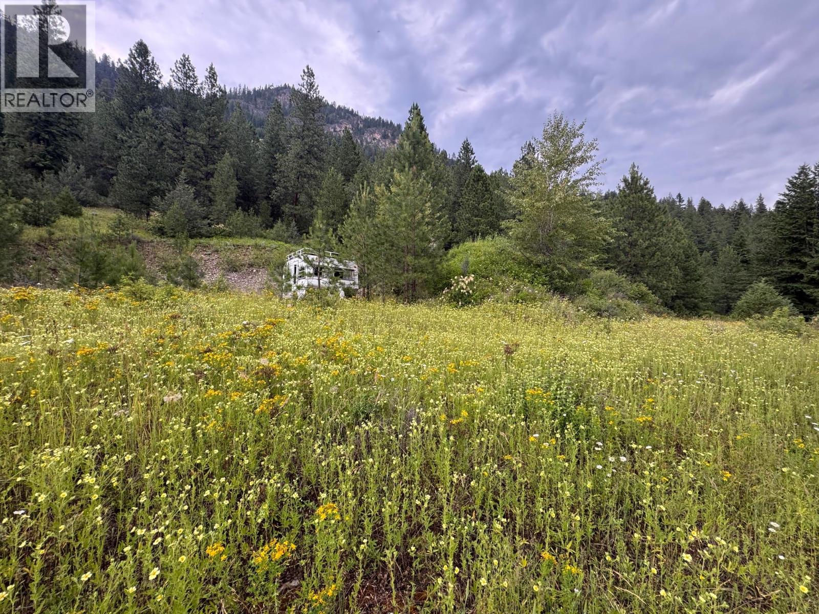 40 Acres Shuswap River Drive