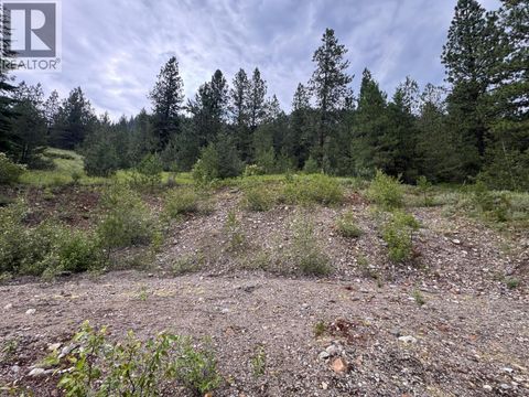 40 Acres Shuswap River Drive Lumby BC V0E2G6
