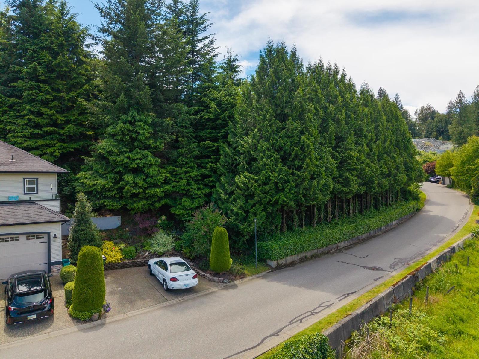 1 47470 CHARTWELL DRIVE|Little Mountain