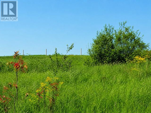 Photo 1 of 4 — 297 Main Street, New Wes Valley, NF A0G4R0