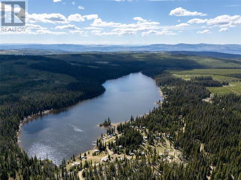 9437 Dominic Lake FSR Road Logan Lake BC V0K1W0
