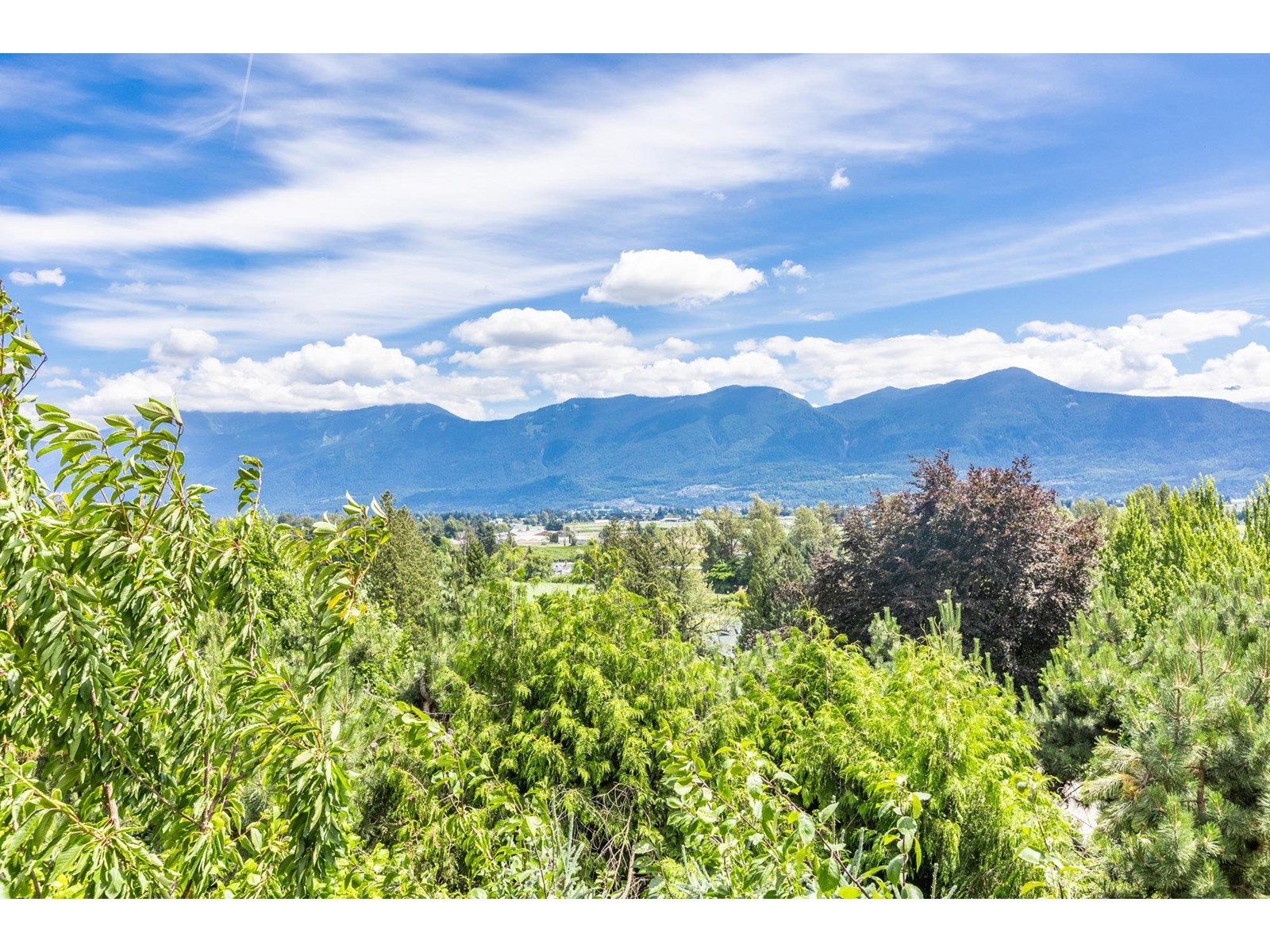 10050 TIMBERLINE PLACE|Little Mountain