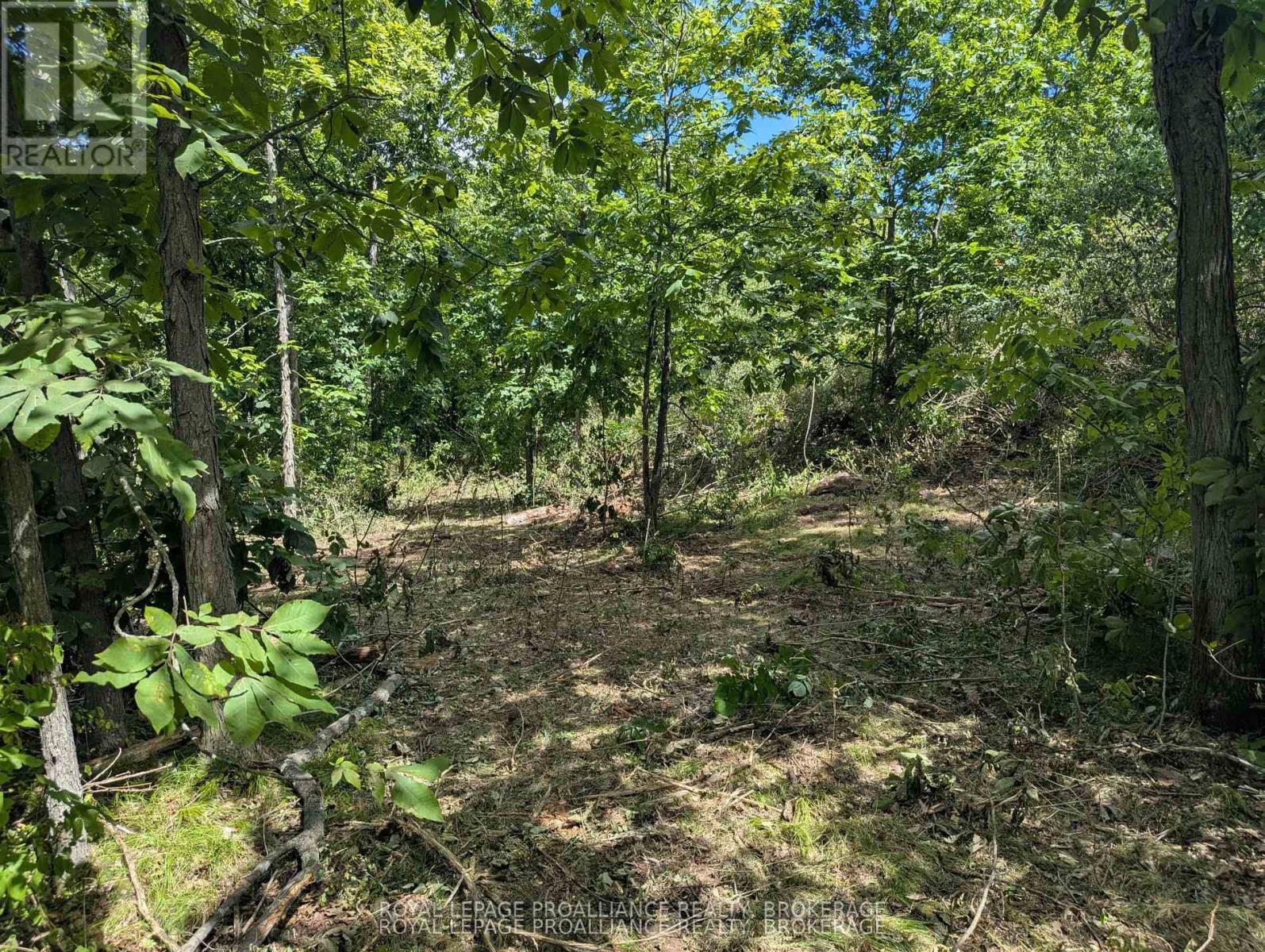 2621 4TH CONCESSION ROAD