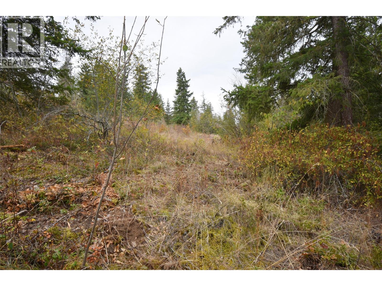 252 Crooked Pine Road