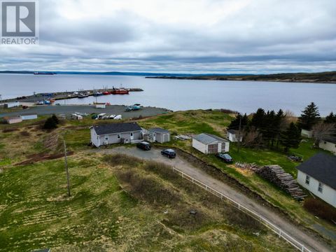 319 O'Donnells Road O'Donnell's NF A0B3A0