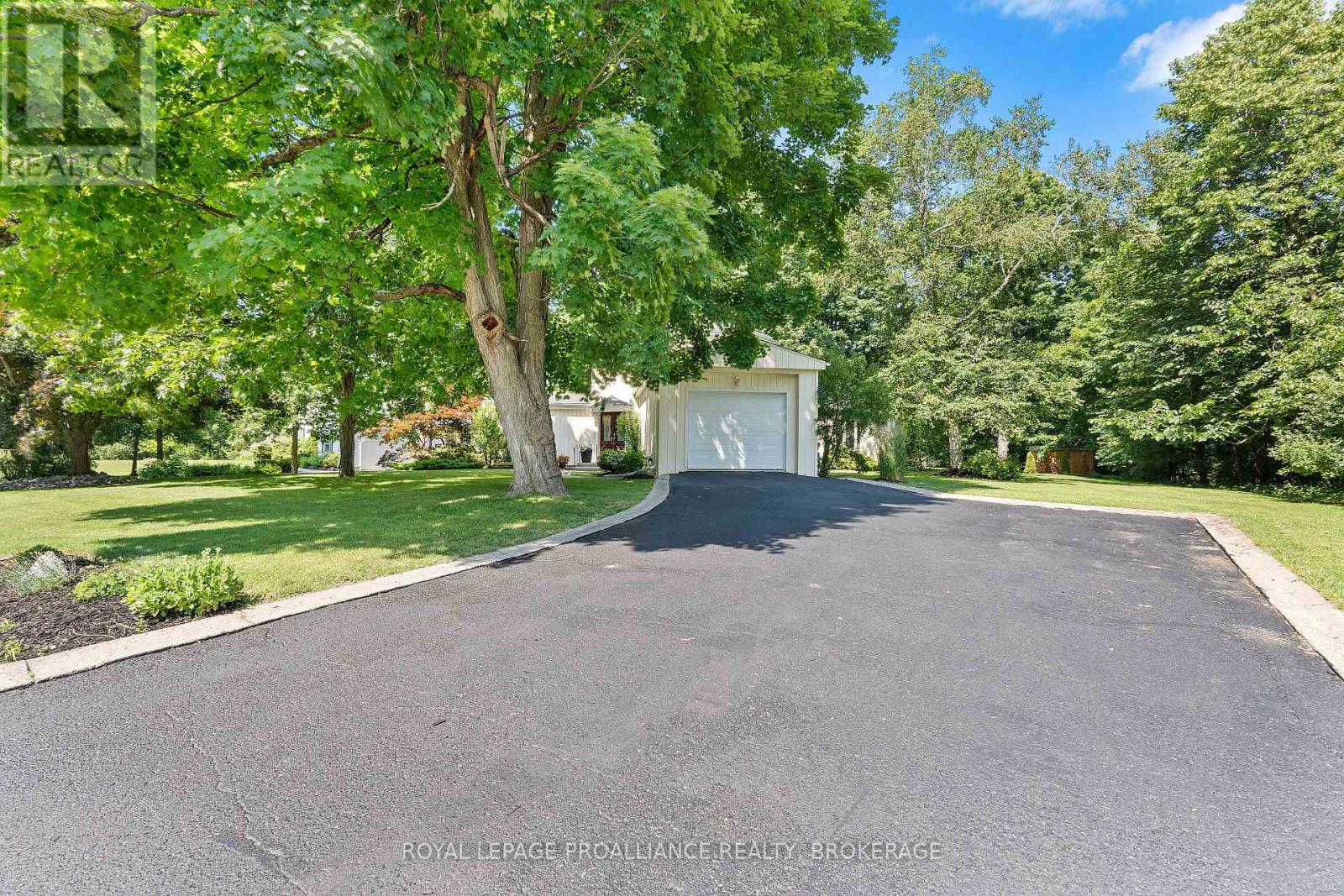5 WILMOT STREET