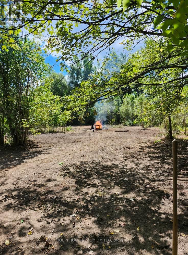 54255 SHAFLEY ROAD S