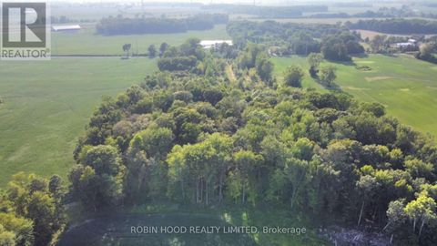 54255 SHAFLEY ROAD S Wainfleet (Marshville/Winger) ON L0R2J0