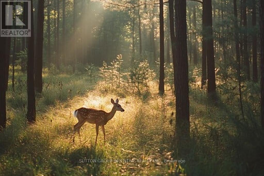 13895 COUNTY RD 27 ROAD