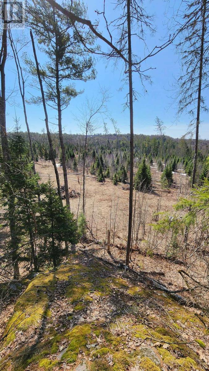 00 RED PINE TRAIL